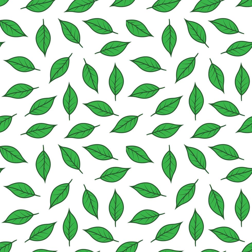 belle foglie verdi astratte ornamento senza cuciture, eleganza natura sfondo modello materiale vettore