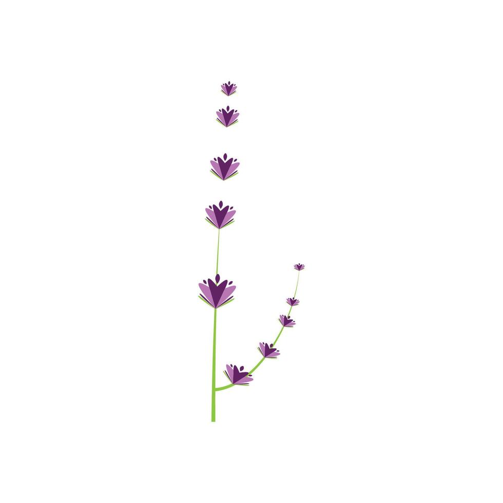 design piatto di vettore di logo di fiori di lavanda fresca