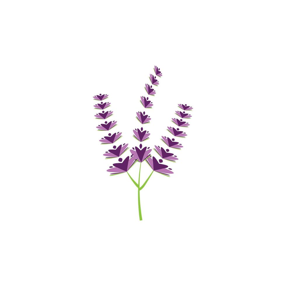 design piatto di vettore di logo di fiori di lavanda fresca