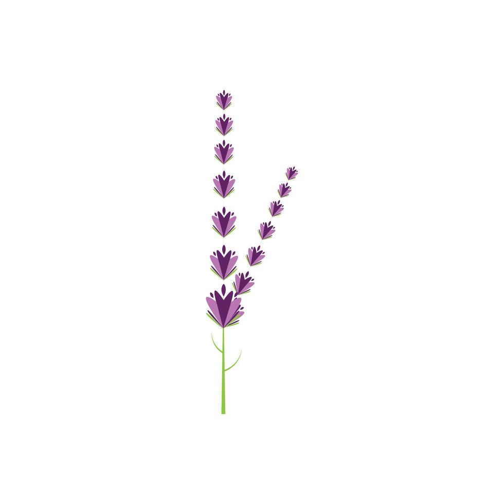 design piatto di vettore di logo di fiori di lavanda fresca