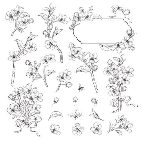 Albero fiorito Collezione Mega set. Rami di fiori botanici disegnati a mano su sfondo bianco. Illustrazione vettoriale