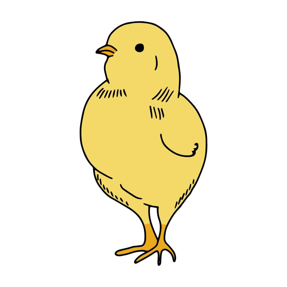 disegno a tratteggio disegnato a mano di pollo giallo. contorno drawing.scrawl.drawing per le vacanze di pasqua. piccolo pollo.uccello house.vector illustrazione vettore
