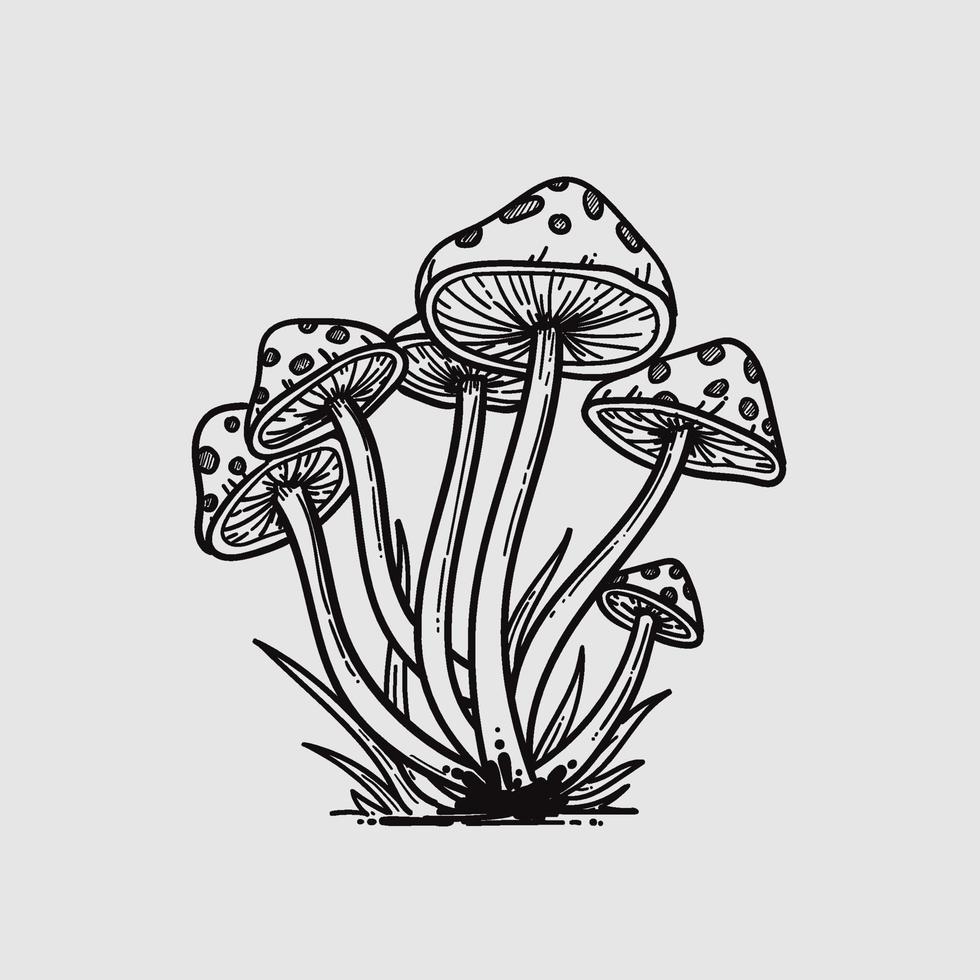 illustrazione disegnata a mano di funghi vettore