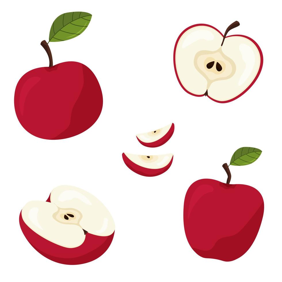 set di mela rossa. mela affettata isolata su sfondo bianco. mele rosse, pezzi di mela, mele a fette vettore