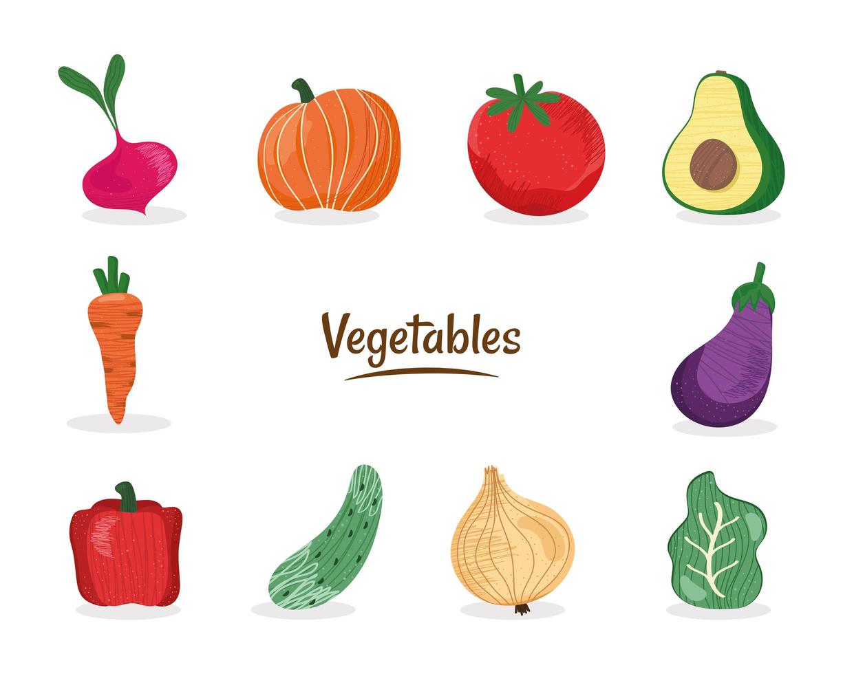 dieci icone di verdure fresche vettore