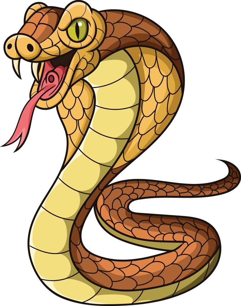 serpente del re cobra del fumetto su priorità bassa bianca vettore