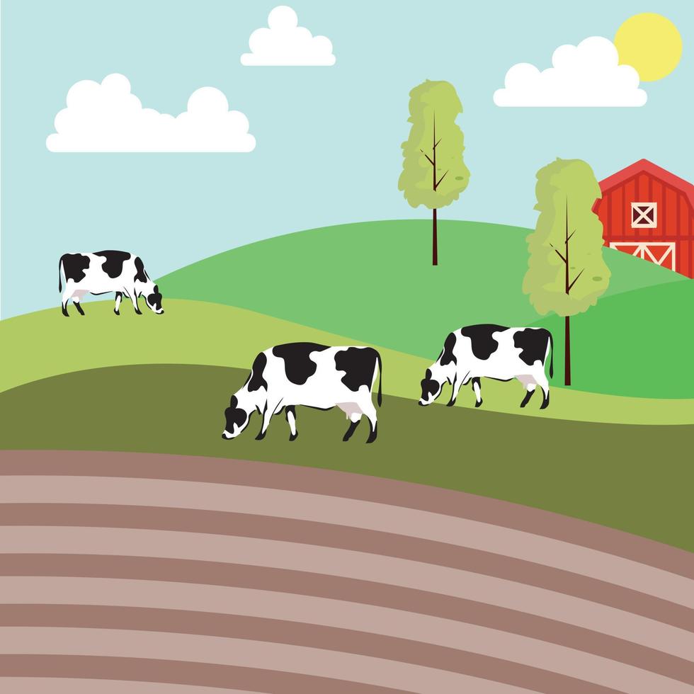 mucche da latte che pascolano al pascolo, mangiando erba. animali domestici da fattoria, giovenche nei pascoli. bovini allevati all'aperto su terreni agricoli. campo del paese. paesaggio rurale. illustrazione vettoriale piatta del ranch di campagna