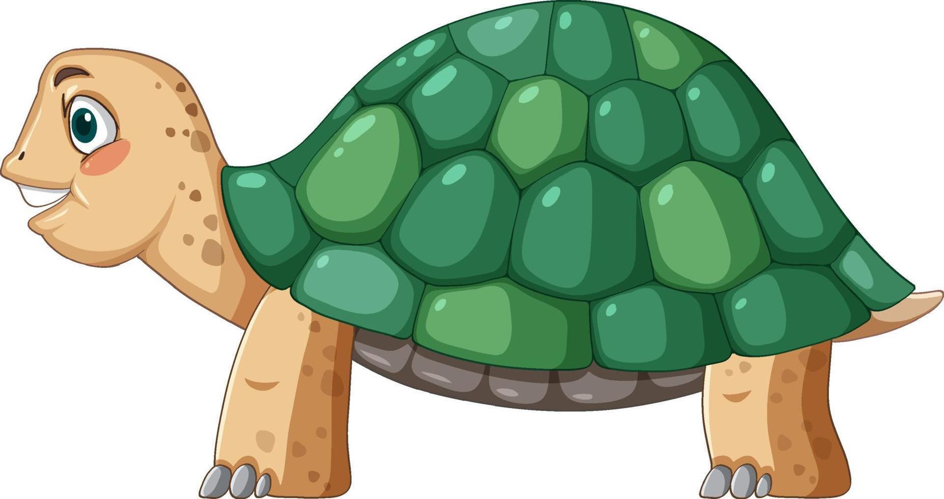 vista laterale della tartaruga con guscio verde in stile cartone animato vettore