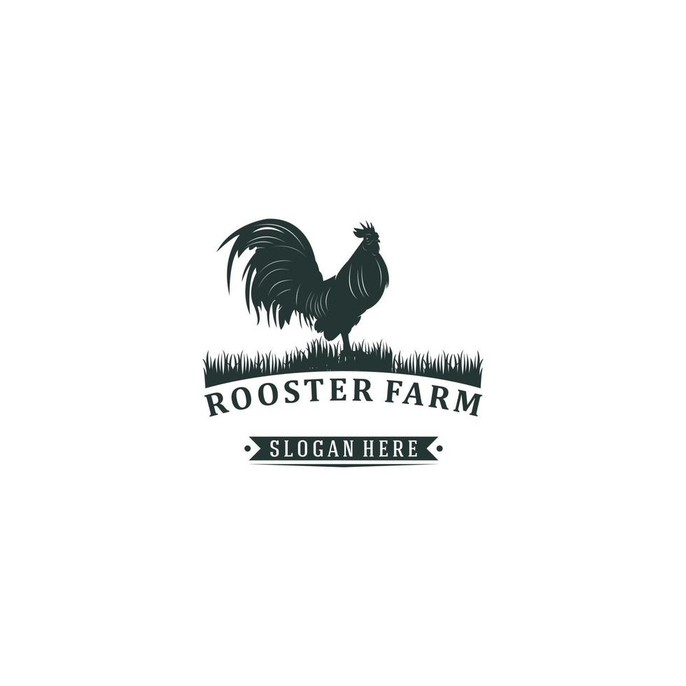 modello di logo della fattoria del gallo su sfondo bianco vettore