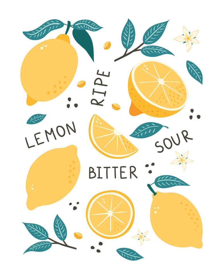 poster disegnato a mano di frutta al limone. doodle stile agrumi, foglie, semi e fiori illustrazione vettoriale per logo, stampa, banner, sfondo, etichetta, carta da imballaggio, menu, design e decorazione di confezioni alimentari