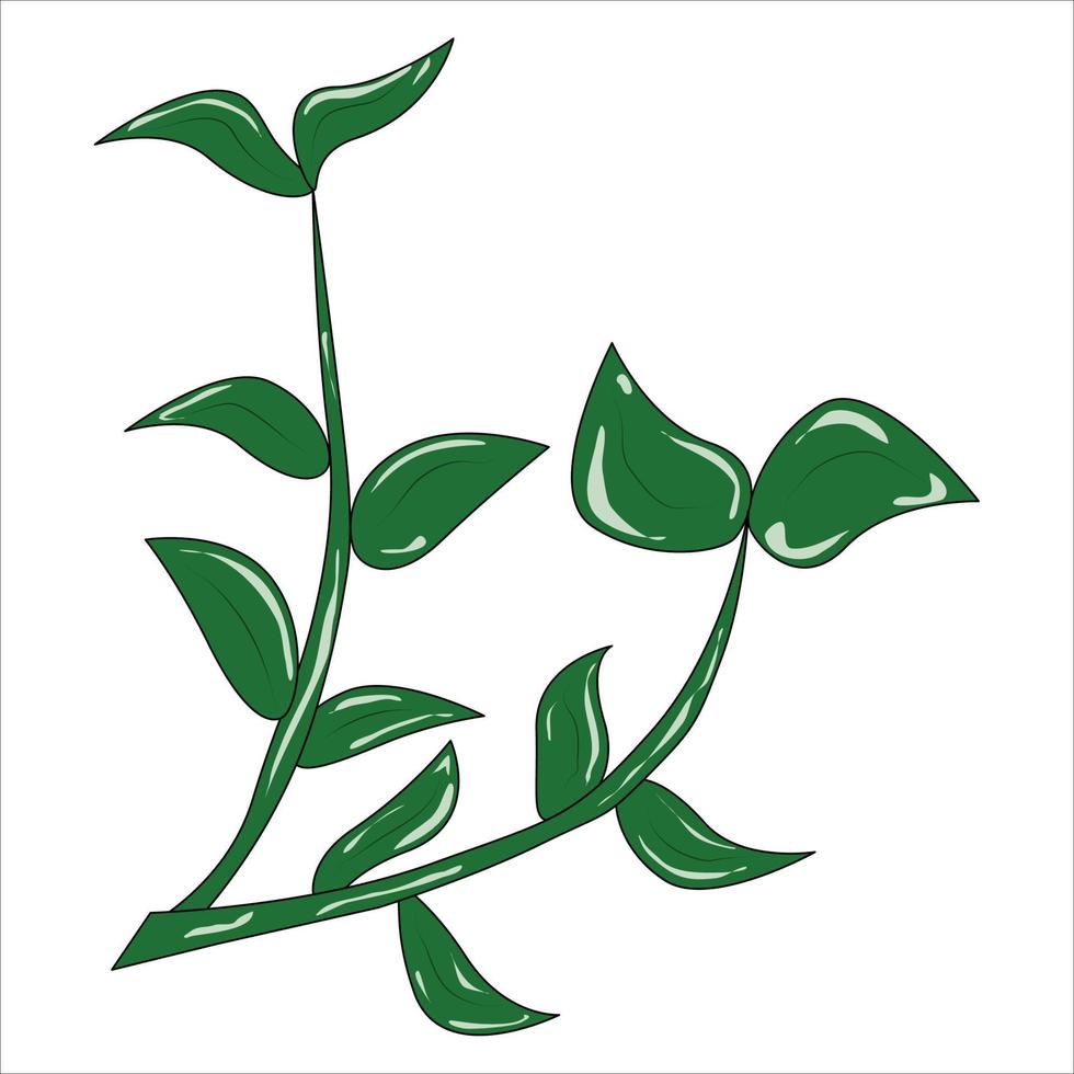 steli di piante con foglie vettore