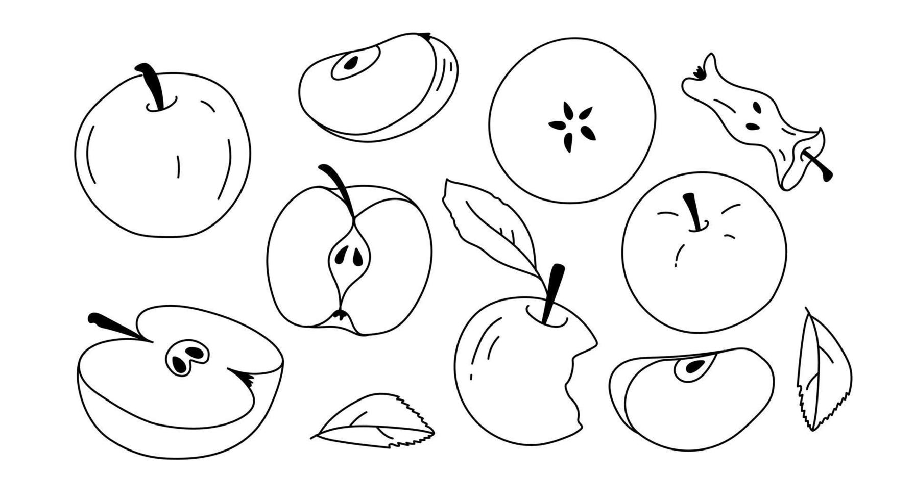 impostare con mele e fette di mele. lineart elementi disegnati a mano frutta nucleo e metà della mela. scarabocchio, semplice, linea vettore