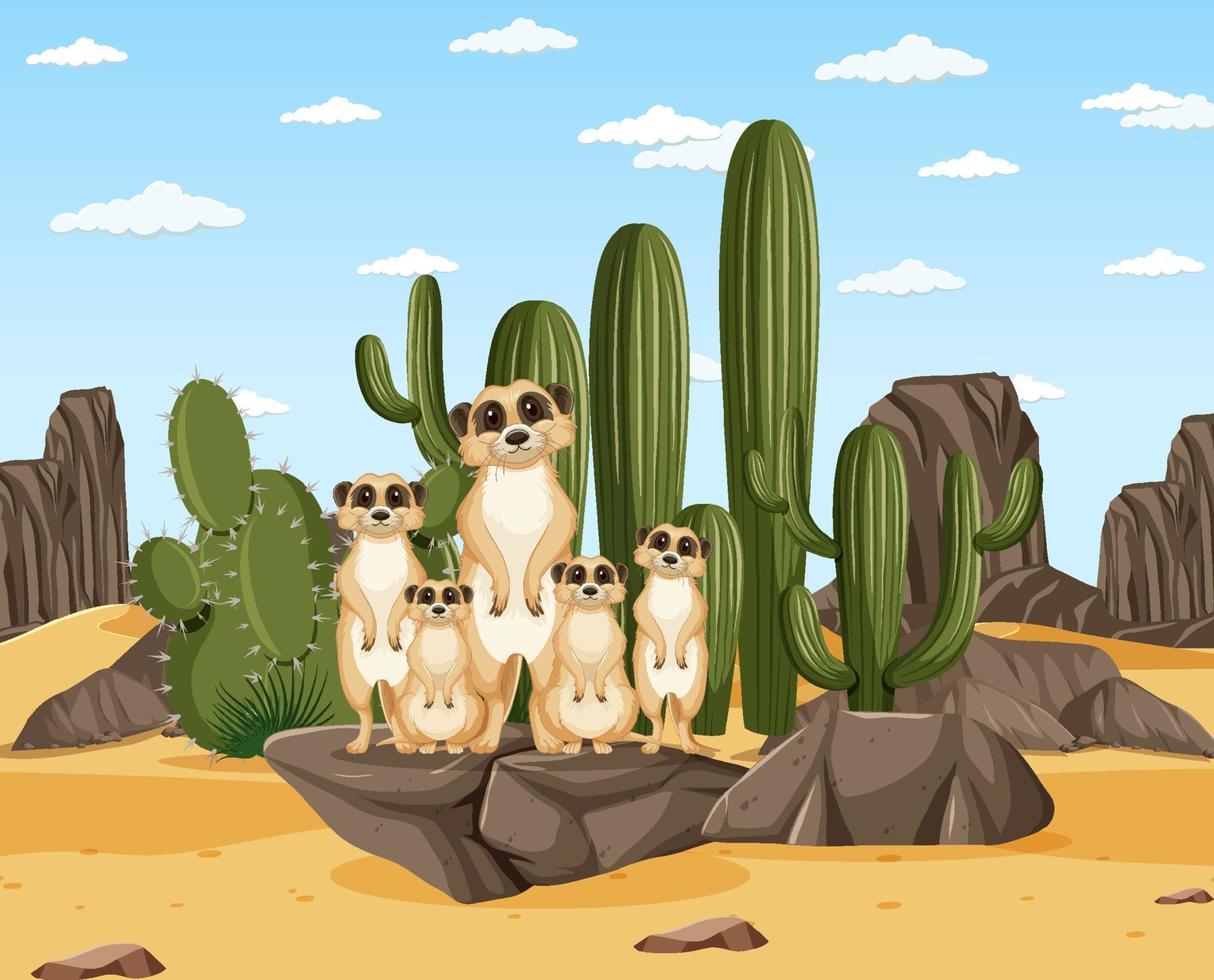 scena del deserto con gruppo di meerket vettore