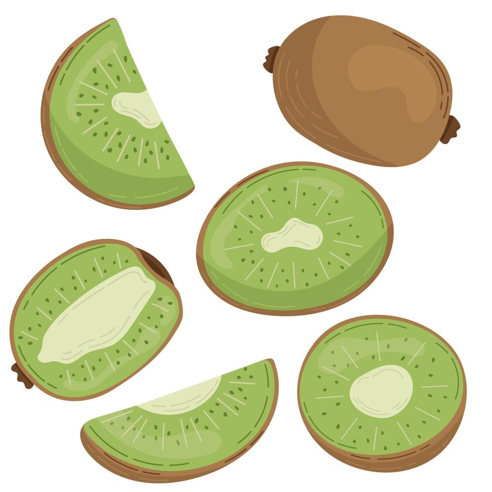 un insieme di kiwi disegnati in uno stile piatto, fette e metà di frutta. un set di adesivi in colori pastello vettore