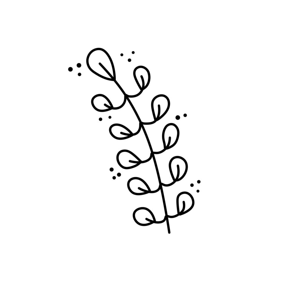 ramo di pianta. foglie in stile linea. illustrazione naturale in bianco e nero vettore