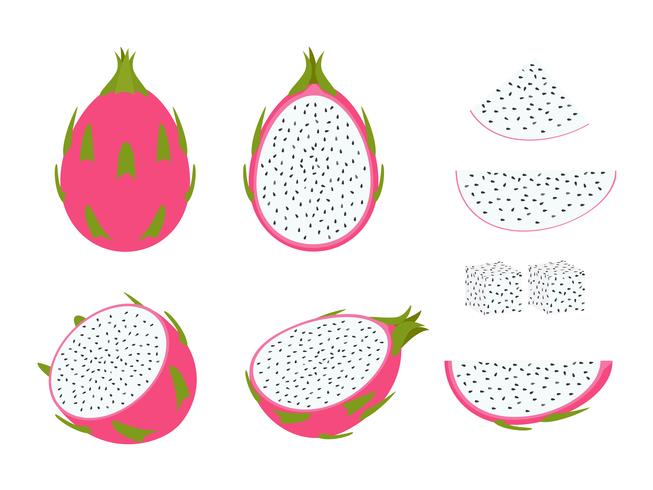 Set di frutta drago isolato su sfondo bianco - illustrazione vettoriale