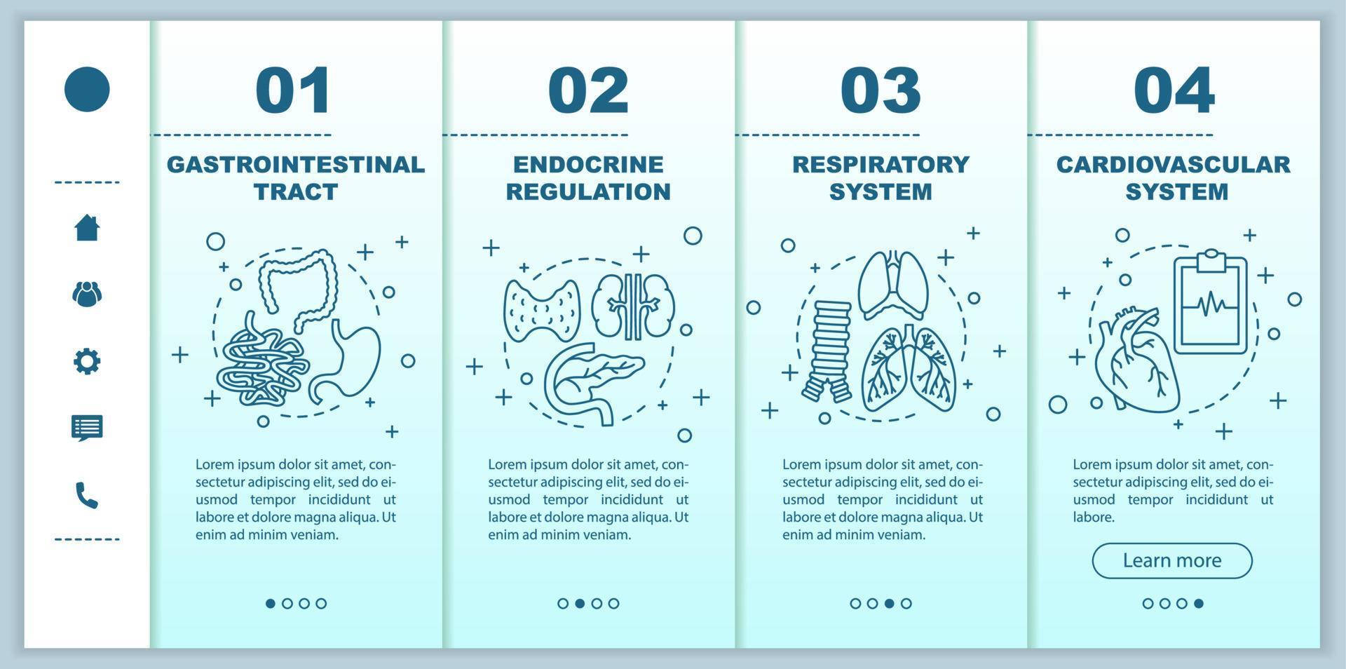 modello vettoriale dello schermo della pagina dell'app mobile per l'onboarding di medicina e assistenza sanitaria. tratto gastrointestinale, fasi di regolazione endocrina con illustrazioni lineari. ux, ui, gui concetto di interfaccia per smartphone