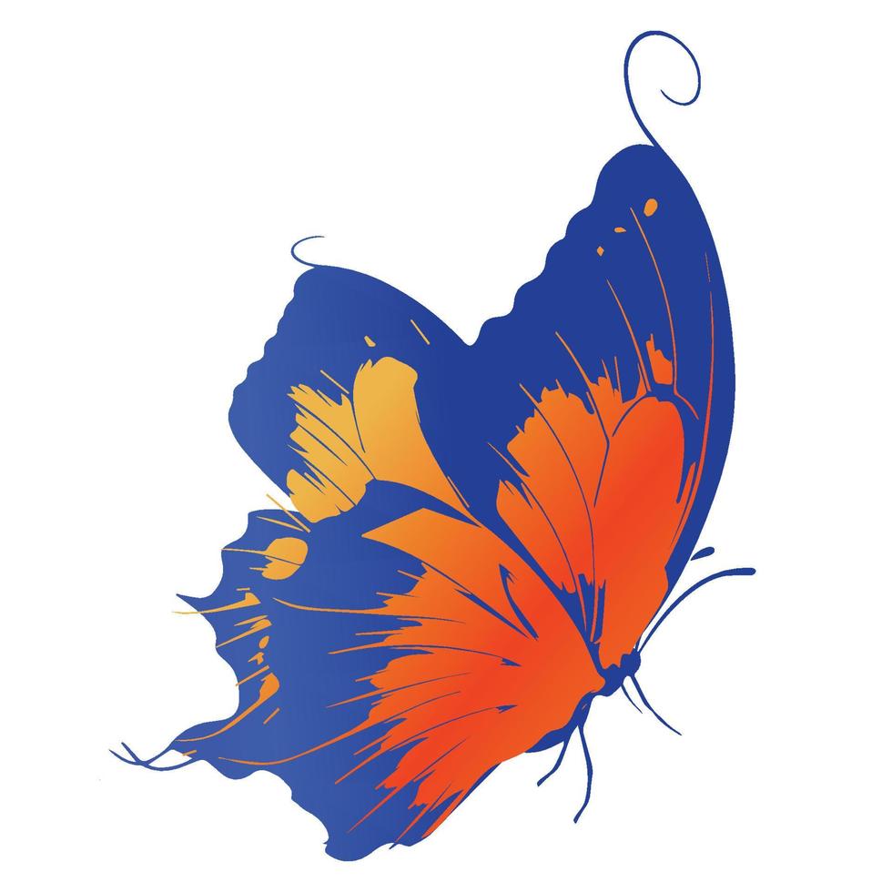 arte farfalla colorata vettore