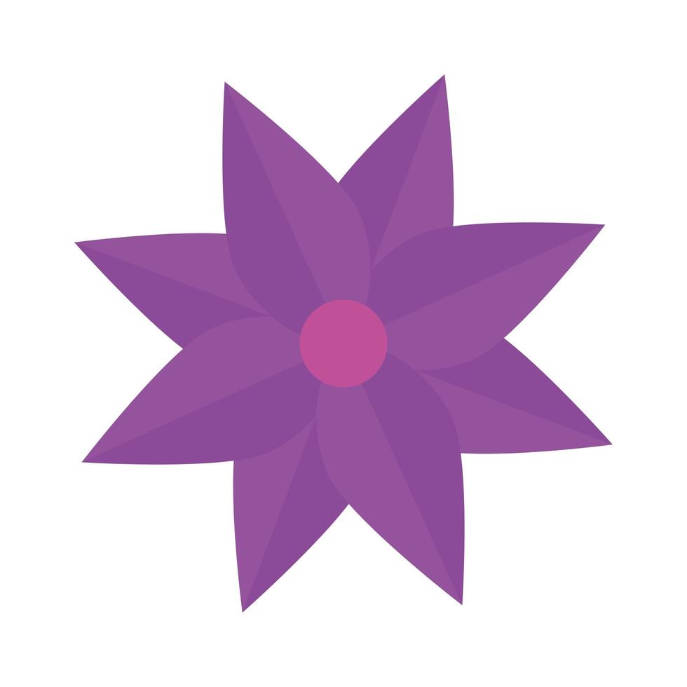 fiore di colore viola, concetto di primavera su sfondo bianco vettore