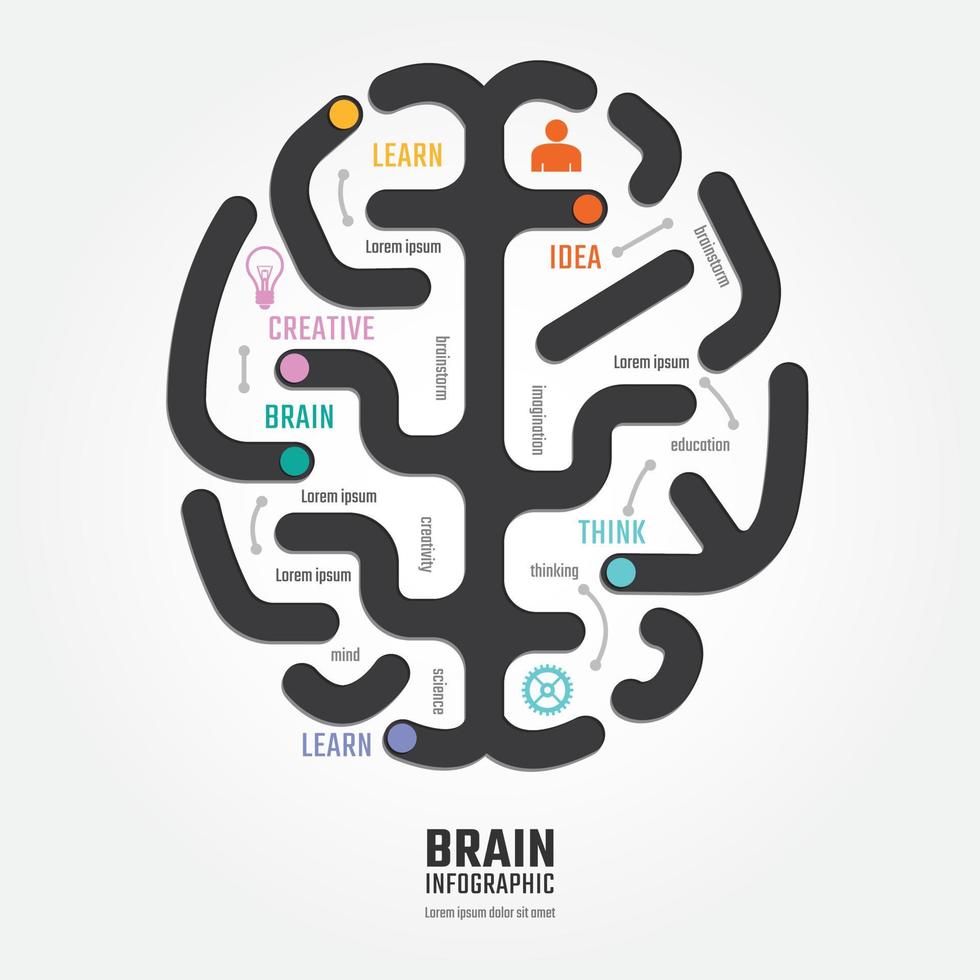 modello di stile della linea del diagramma di progettazione del cervello di vettore di infografica