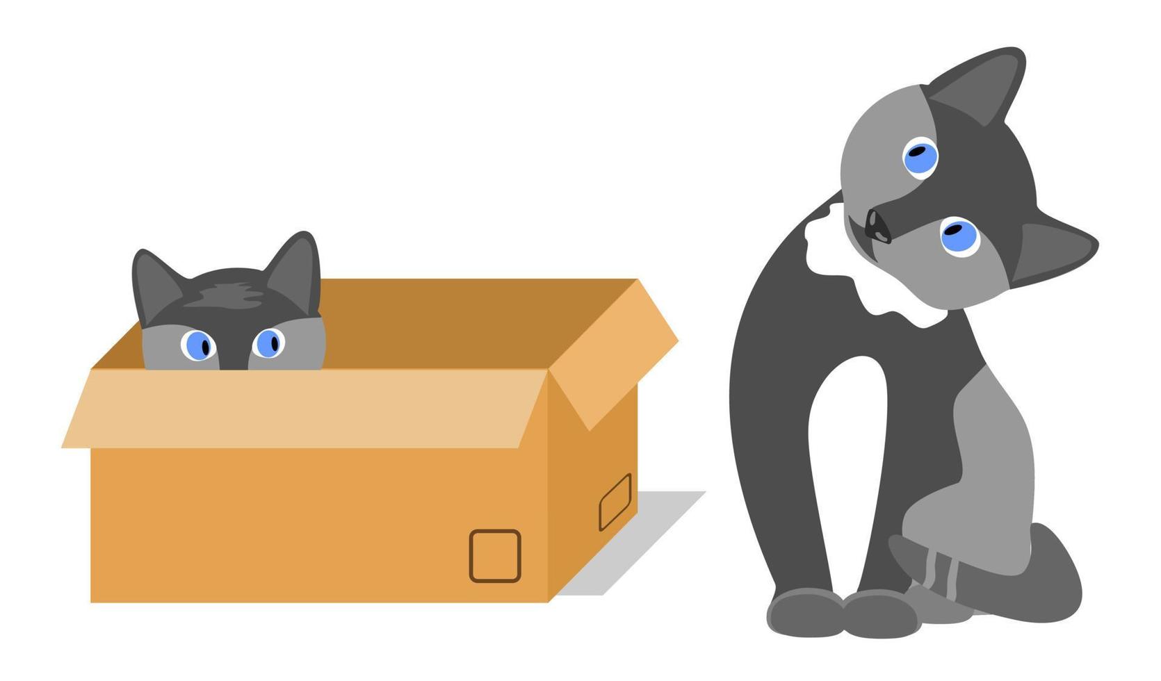 gattino giocoso si siede alla scatola e si nasconde nella scatola vettore