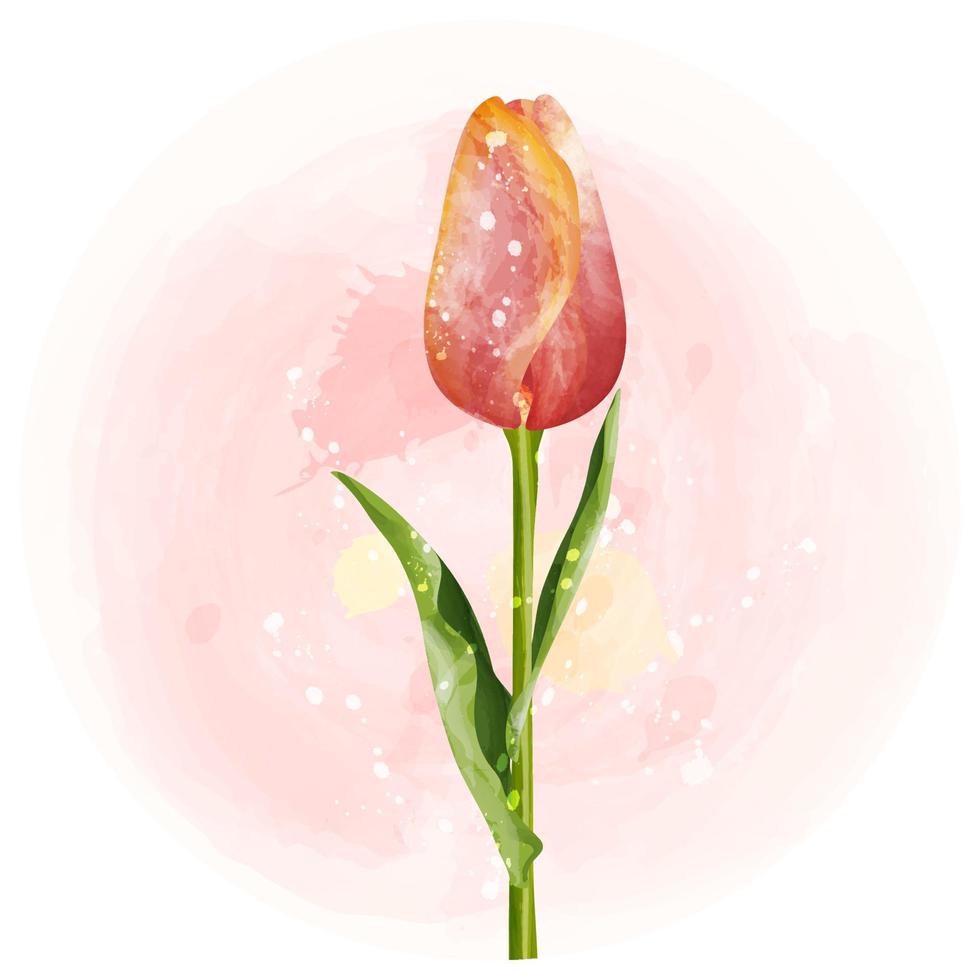 illustrazione clipart dell'acquerello dei tulipani con sfondo rosa. vettore