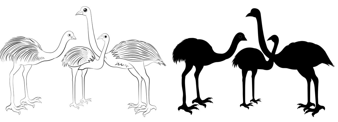 emu silhouette vettore