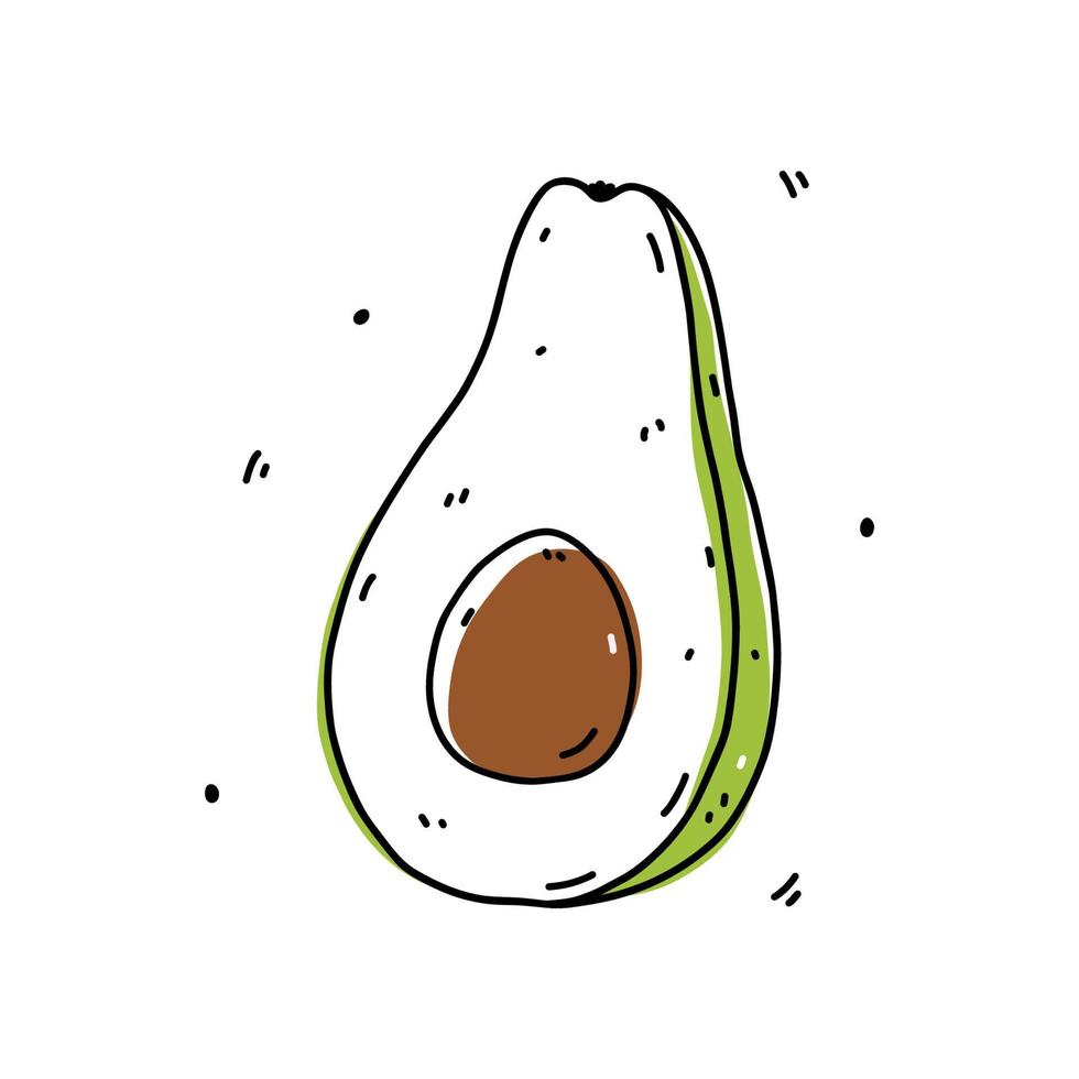 mezzo avocado isolato su sfondo bianco. cibo sano biologico. illustrazione disegnata a mano di vettore in stile doodle. perfetto per carte, logo, decorazioni, ricette, disegni vari.