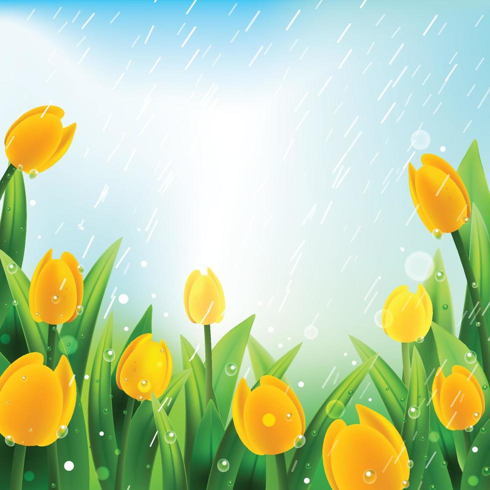 concetto di pioggia doccia primaverile nel giardino dei tulipani vettore