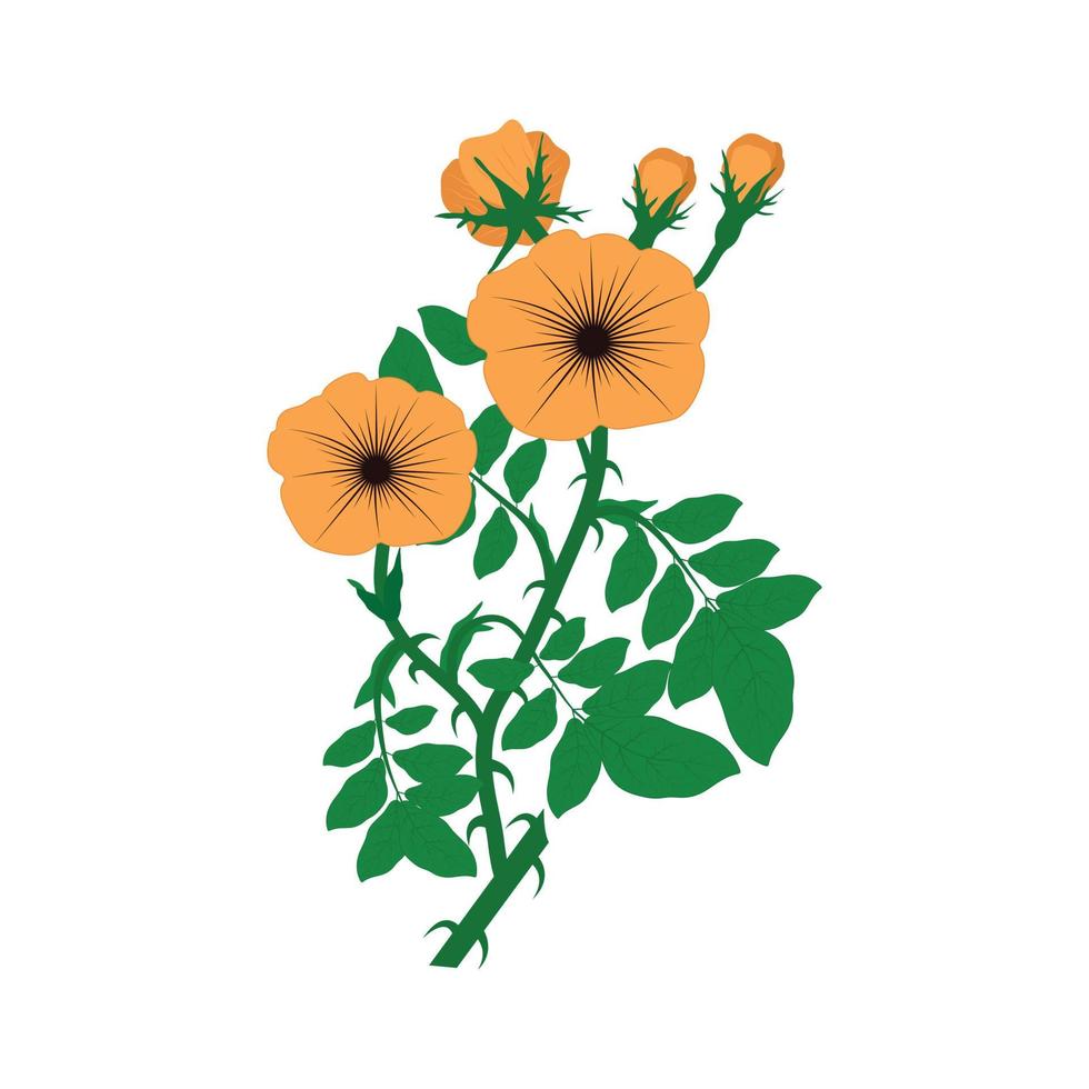 fiore di ranuncolo giallo - il nome in latino è ranunculus acris vettore