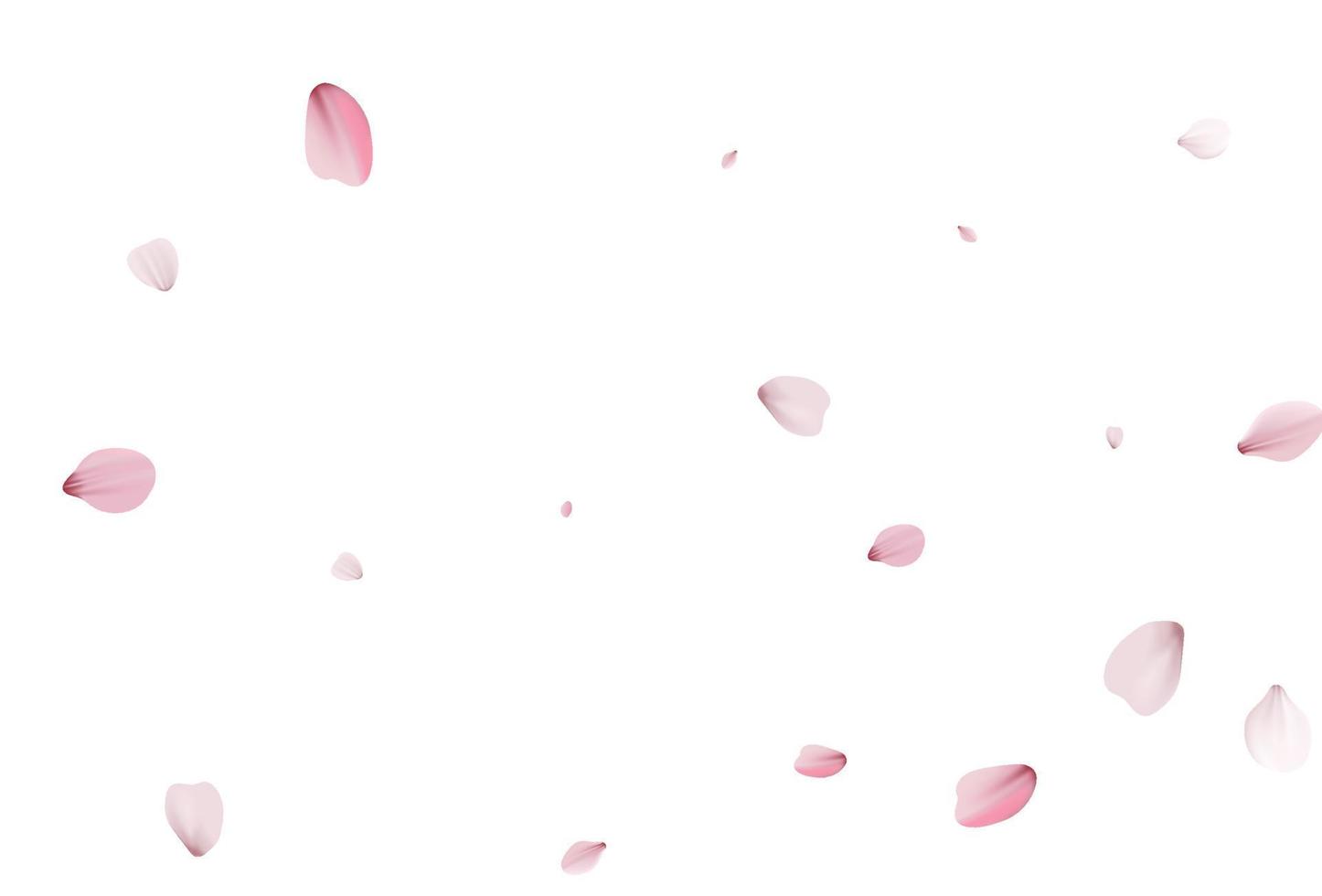 sfondo di vacanza di petali di sakura. vettore di ciliegia