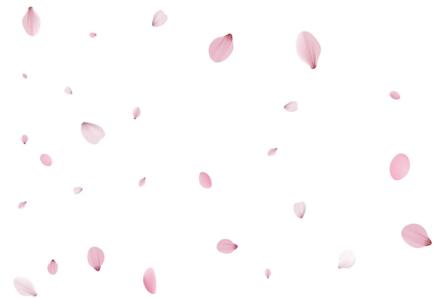 sfondo di petali di sakura. vettore di ciliegie per le vacanze