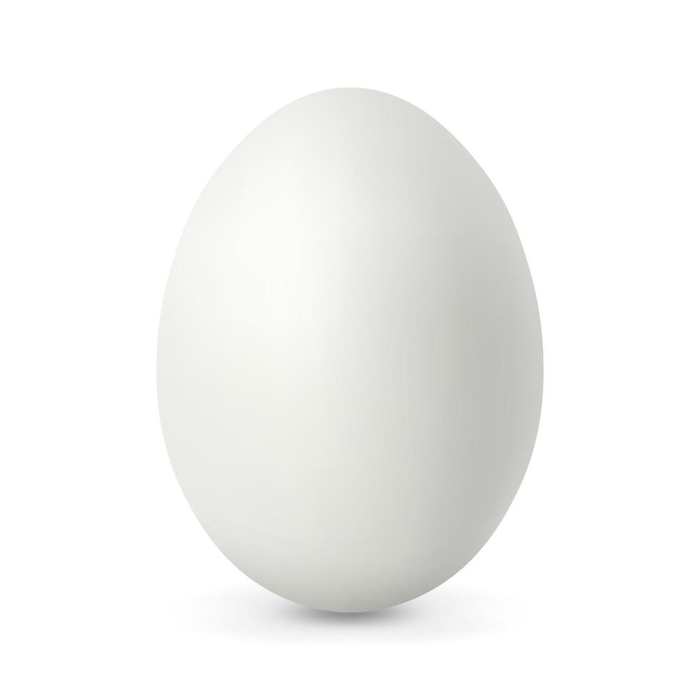 uovo di gallina bianco uovo realistico e volumetrico per pasqua isolato su sfondo bianco vettore