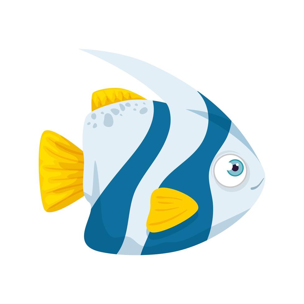 vita sottomarina, pesci carini, colore blu e bianco con coda e pinne colore giallo, su sfondo bianco vettore