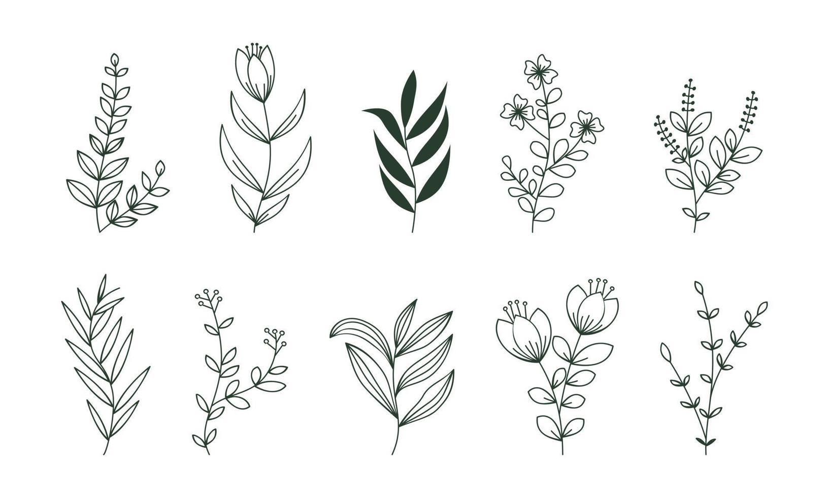 collezione di ornamenti di foglie di doodle disegnato a mano vettore