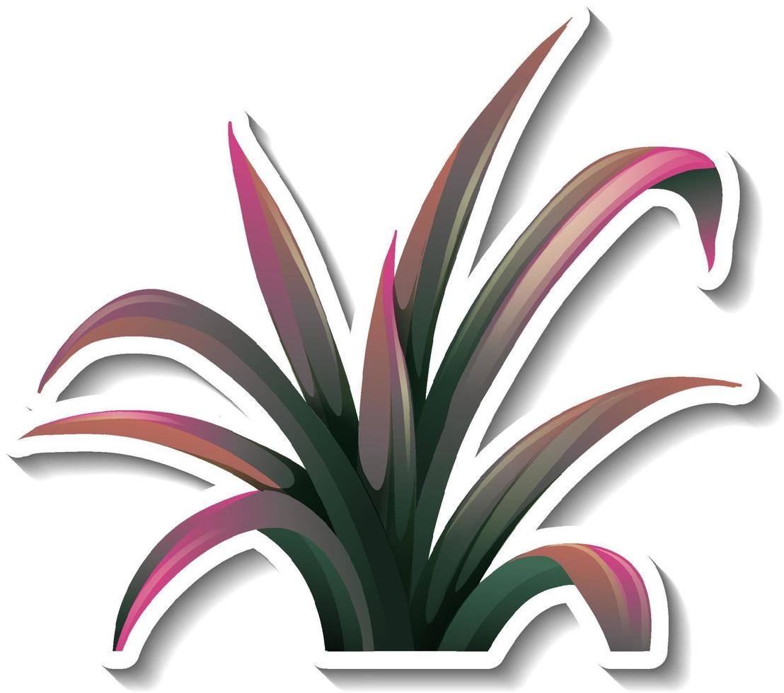 adesivo con pianta tropicale su sfondo bianco vettore