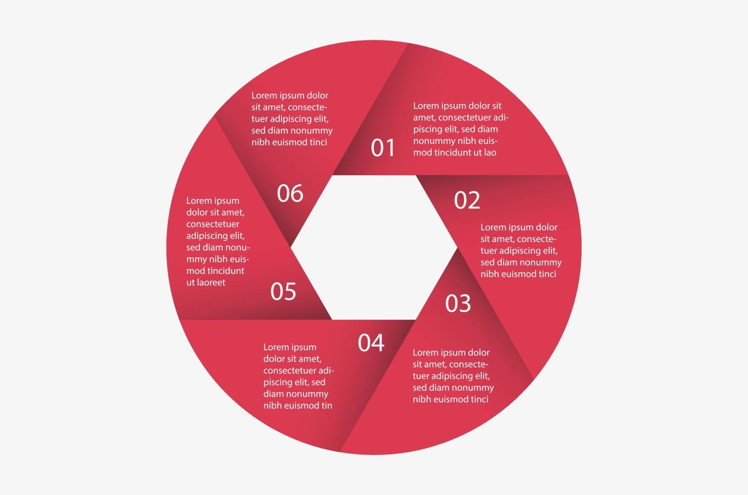 infografica a forma di apertura in sei fasi con testo vettore