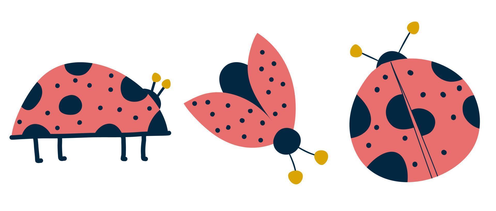 set di coccinelle piatte isolato per il design di stampa. simpatico insetto maculato per il design dei bambini. coccinella con ali e baffi. illustrazione vettoriale