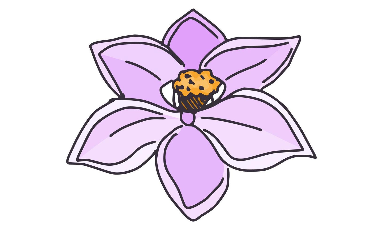 disegno del fiore del giglio rosa. scarabocchiare un semplice disegno vettore