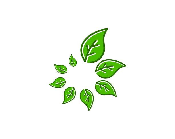 Foglia naturale Logo Icon Vector