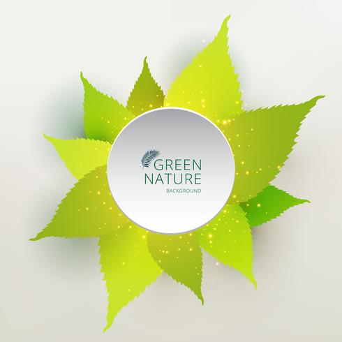 Concetto della natura delle foglie verdi con colore bianco del cerchio dell&#39;etichetta vettore