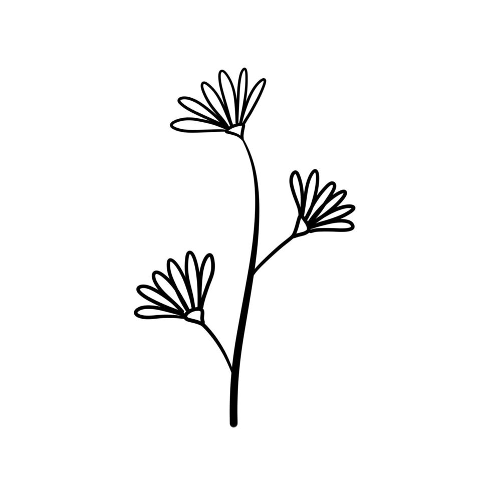 pianta naturale. fiore di doodle astratto. vettore