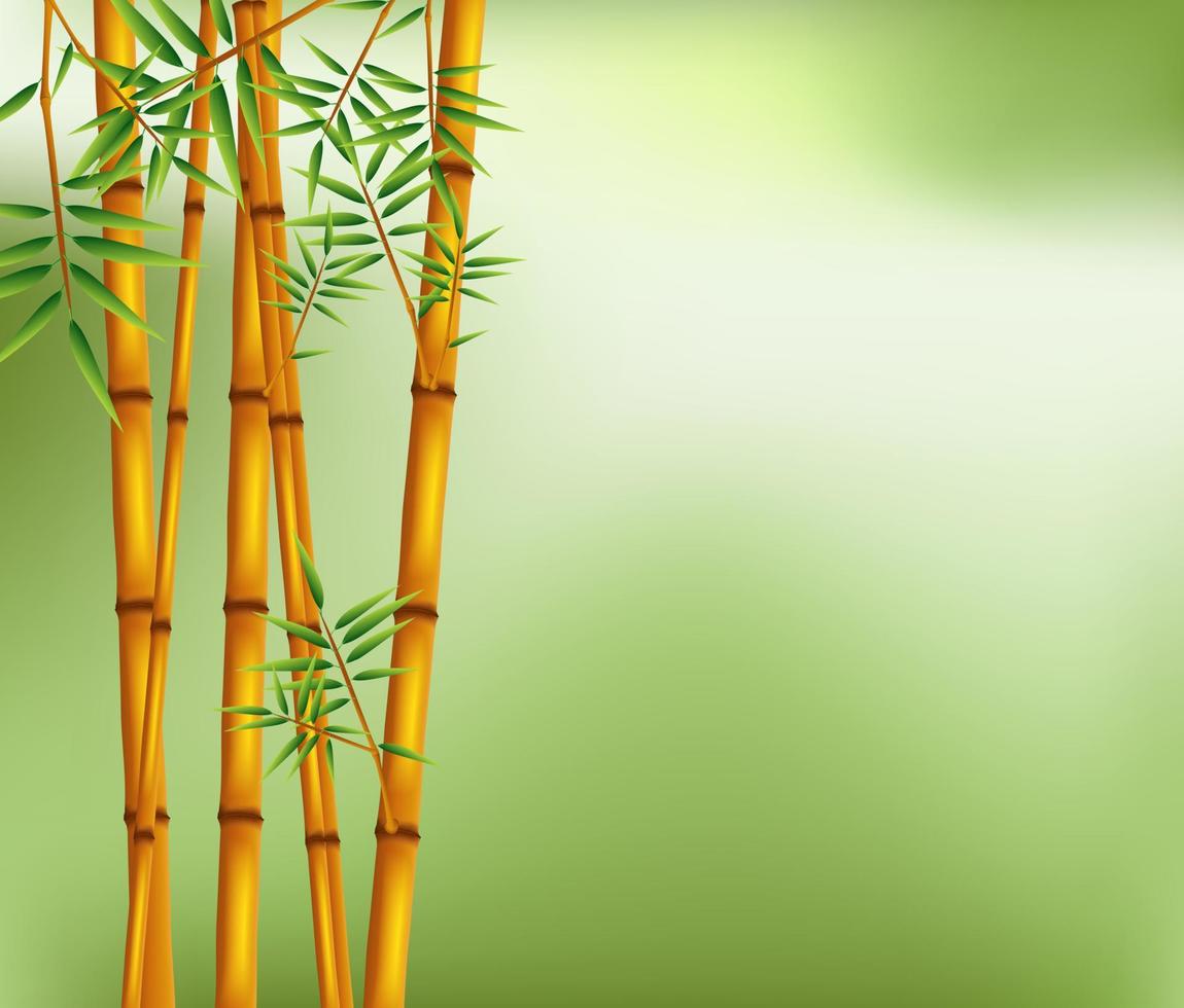 albero di bambù su sfondo verde vettore