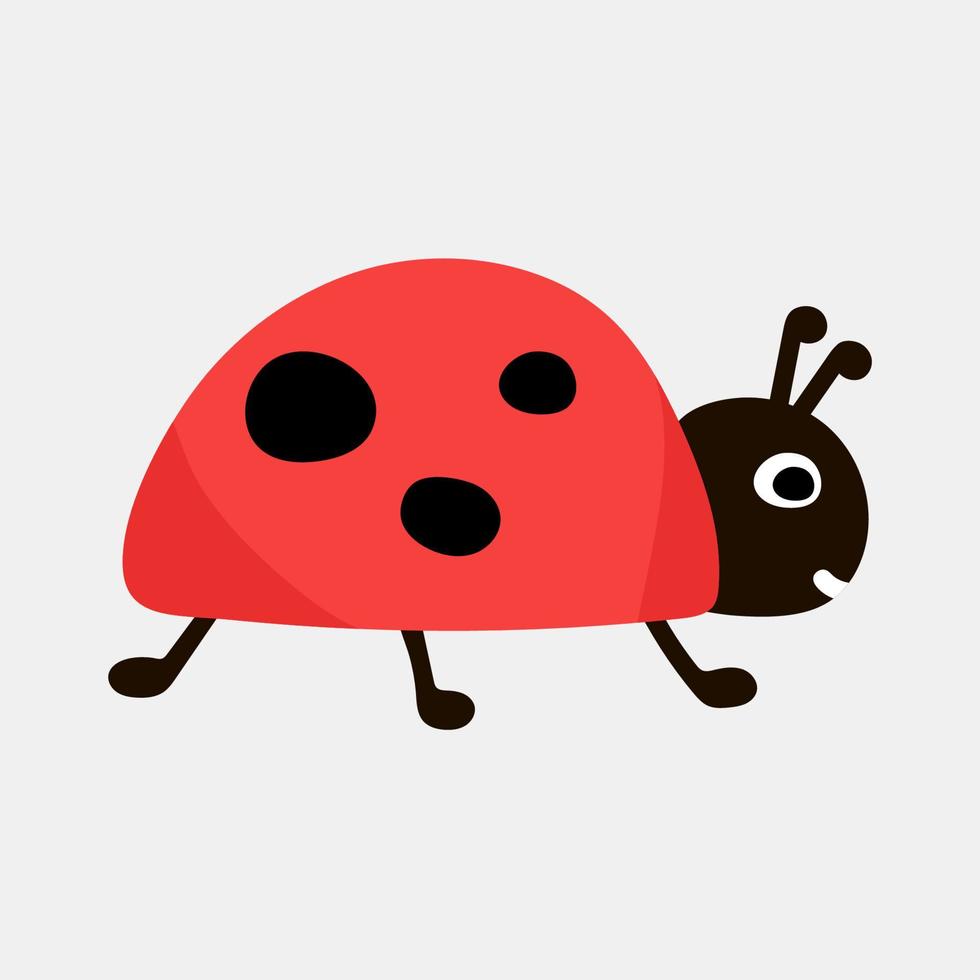 carino coccinella o coccinella semplice design piatto. illustrazione vettoriale isolato su sfondo bianco