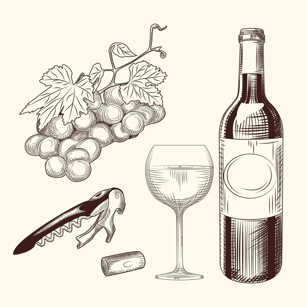 set di vino. disegnato a mano di bicchiere di vino, bottiglia, sughero, cavatappi e uva. vettore