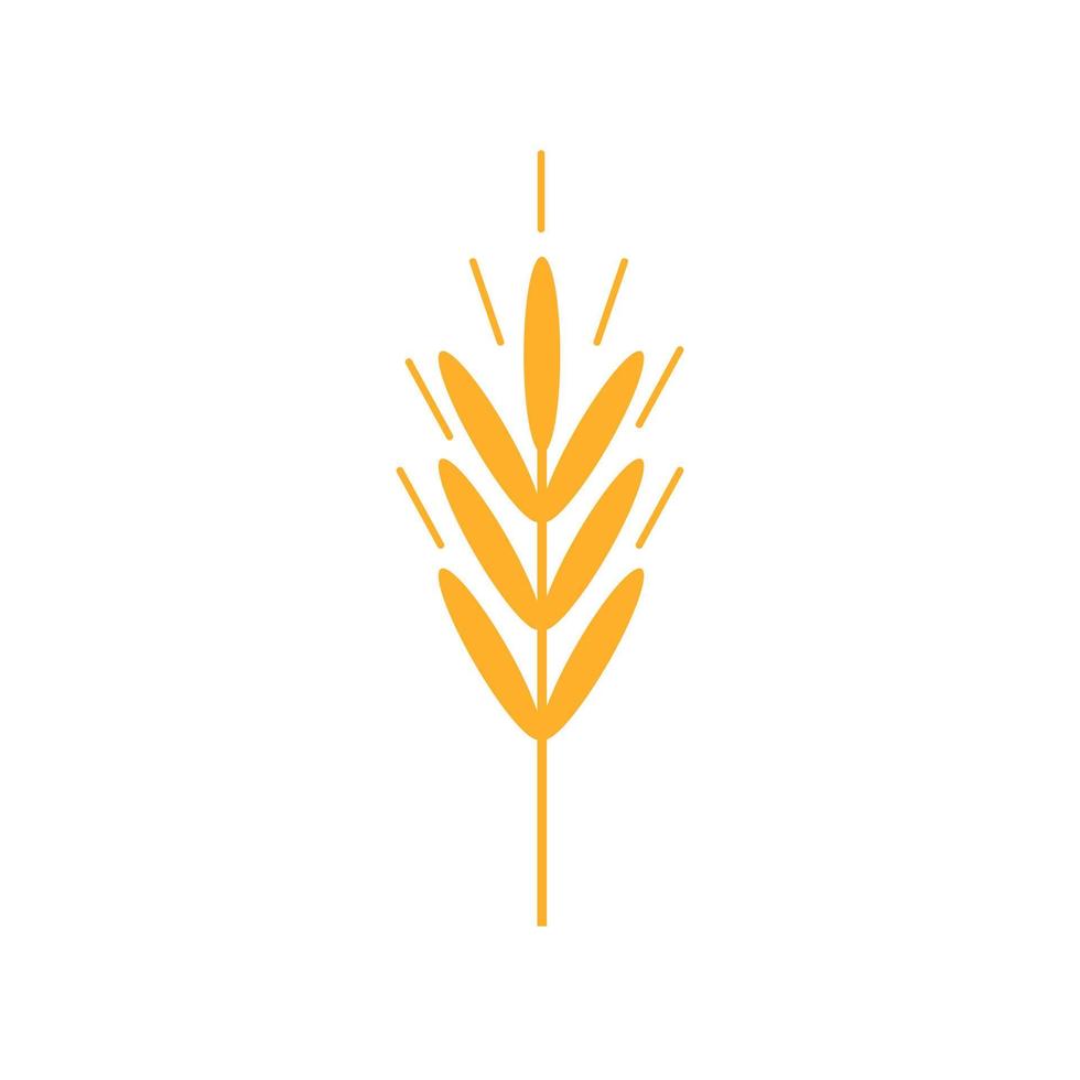 icone di spighe di grano. grano biologico, pane agricoltura e alimentazione naturale. linee di contorno. vettore
