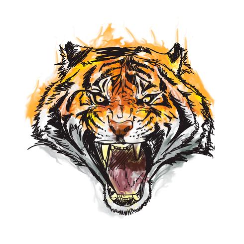 illustrazione vettoriale di tigre acquerello impressionante