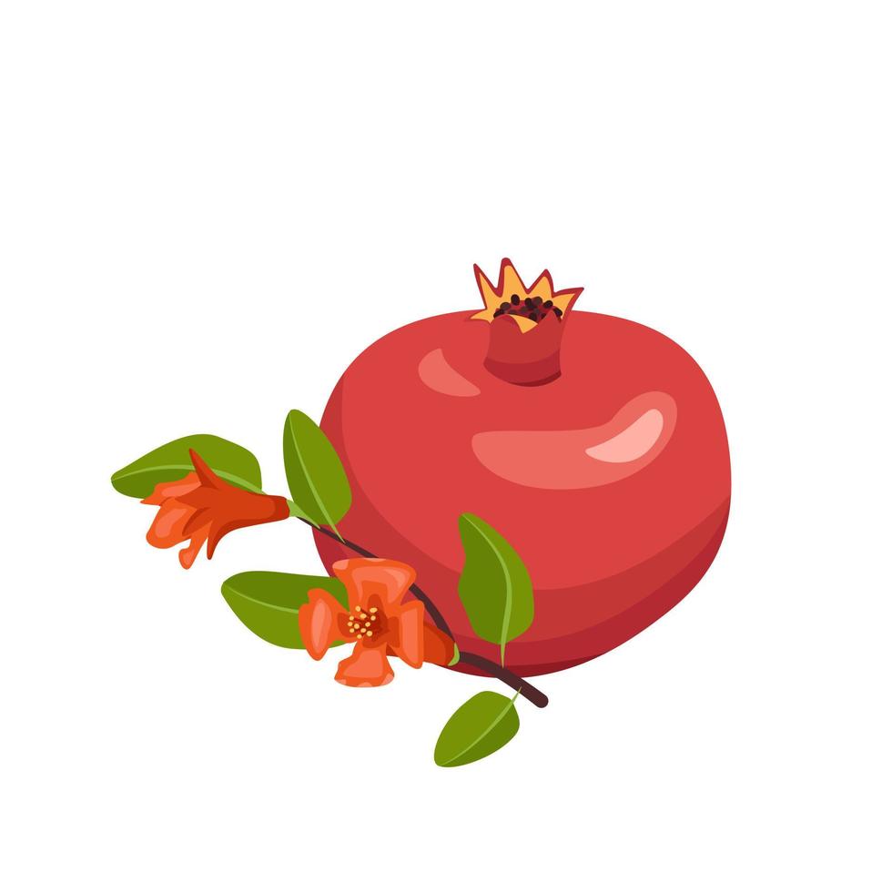 icona di melograno rosso intero e mezzo con semi e ramo con foglie. frutti sani per una corretta alimentazione. cibo dolce per la dieta. illustrazione piatta vettoriale