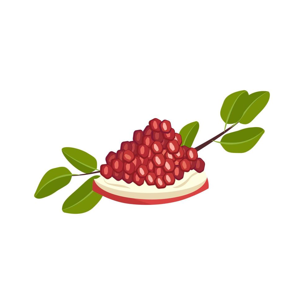 pezzo di melograno rosso con semi e rami con foglie. frutti utili per una corretta alimentazione. cibo dolce per la dieta. illustrazione piatta vettoriale