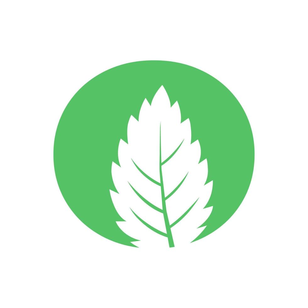cerchio con pianta a foglia verde logo simbolo icona disegno grafico vettoriale